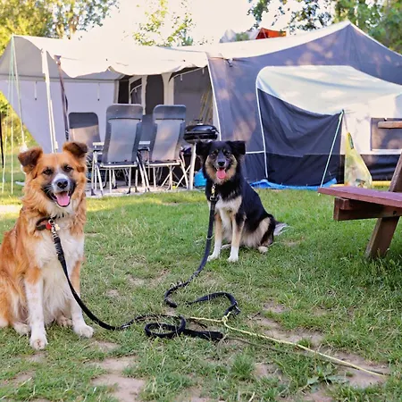 Forteca, Parcele Kempingowe Nad Woda, Z Wlasnym Namiotem Lub Przyczepa Camping