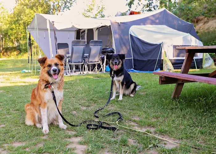 Forteca, Parcele Kempingowe Nad Woda, Z Wlasnym Namiotem Lub Przyczepa Campingplatz